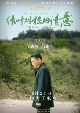 【剧情片】绿叶对根的情意